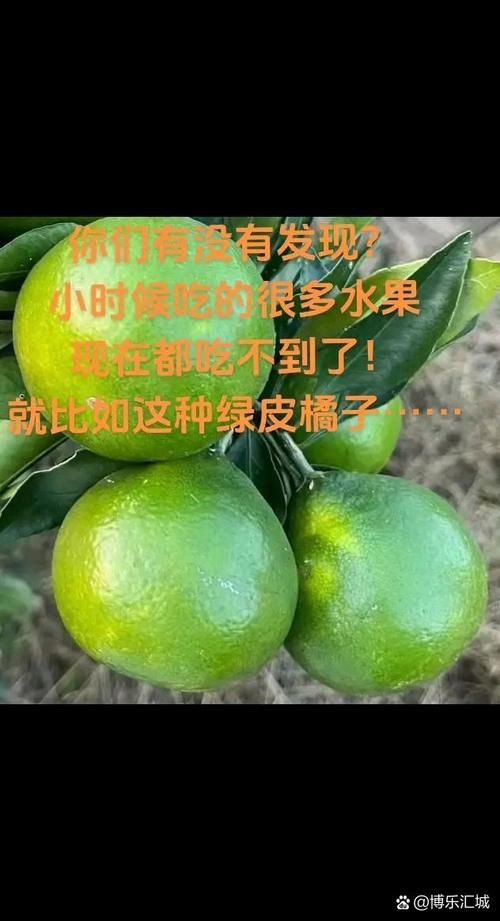綠皮皇冠豹最忌三種水果圖片，綠皮皇冠豹最忌三種水果