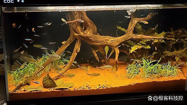 昆明魚缸定做，云南鯨濤水族魚缸定制供應圖片大全-云南恒盈科技有限公司