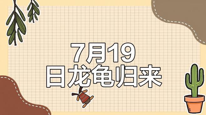 再給我一些龍龜的搭配建議，《天才龍龜》s15龍龜新賽季最強鐵王八陣容搭配建議