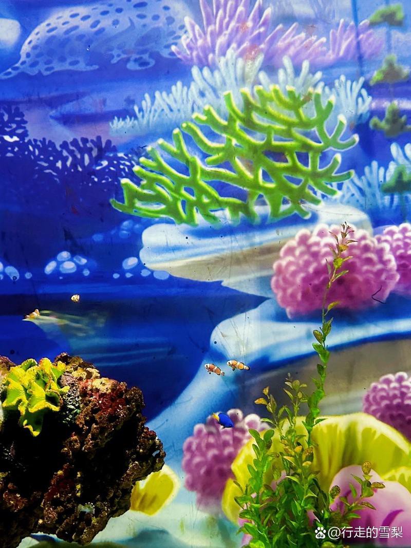 張家港水族店，張家港市仁漁水族館(個體工商戶)怎么樣