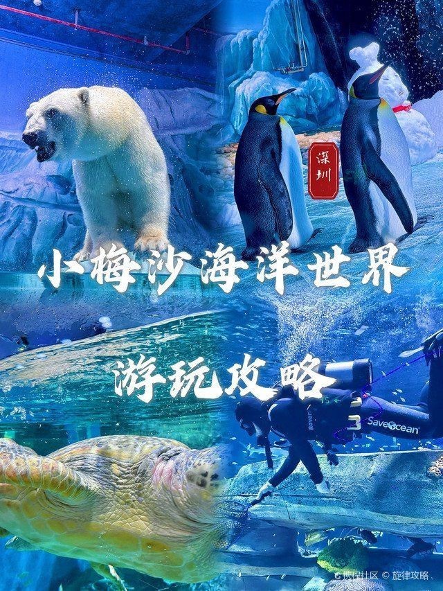 深圳水族館，深圳最精妙的共生系統