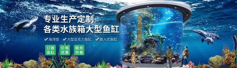 襄樊魚缸定做,襄樊地區(qū)的魚缸定做服務(wù)日益受到消費(fèi)者青睞 全國水族館企業(yè)名錄 第2張 襄樊魚缸定做,襄樊地區(qū)的魚缸定做服務(wù)日益受到消費(fèi)者青睞 襄樊魚缸定做,襄樊地區(qū)的魚缸定做服務(wù)日益受到消費(fèi)者青睞 全國水族館企業(yè)名錄 第2張