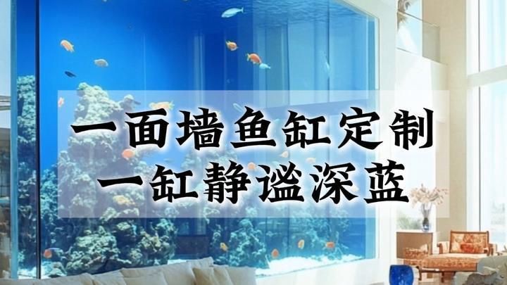 襄樊魚缸定做,襄樊地區(qū)的魚缸定做服務(wù)日益受到消費(fèi)者青睞 全國水族館企業(yè)名錄 第5張 襄樊魚缸定做,襄樊地區(qū)的魚缸定做服務(wù)日益受到消費(fèi)者青睞 襄樊魚缸定做,襄樊地區(qū)的魚缸定做服務(wù)日益受到消費(fèi)者青睞 全國水族館企業(yè)名錄 第5張