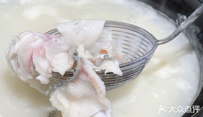 漢陽龍魚店，武漢漢陽龍魚店哪家最好