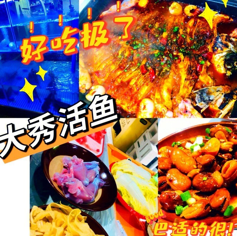 漢陽龍魚店，武漢漢陽龍魚店哪家最好