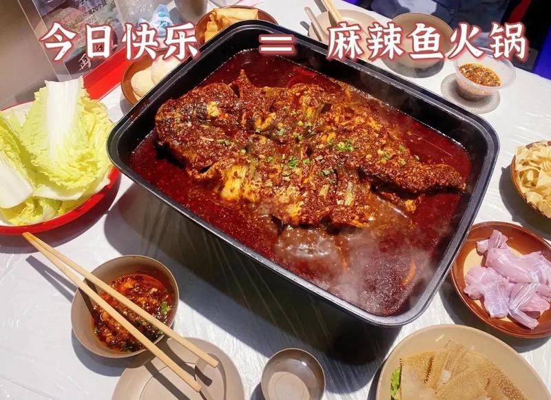 漢陽龍魚店，武漢漢陽龍魚店哪家最好