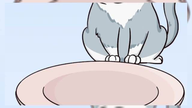 貓為何盡量少吃魚，貓為何盡量少吃魚許多人認為貓天生愛吃魚