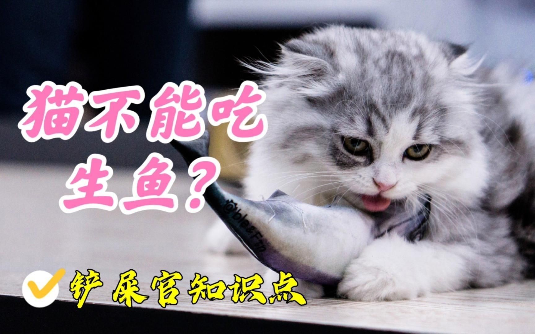 貓為何盡量少吃魚，貓為何盡量少吃魚許多人認為貓天生愛吃魚