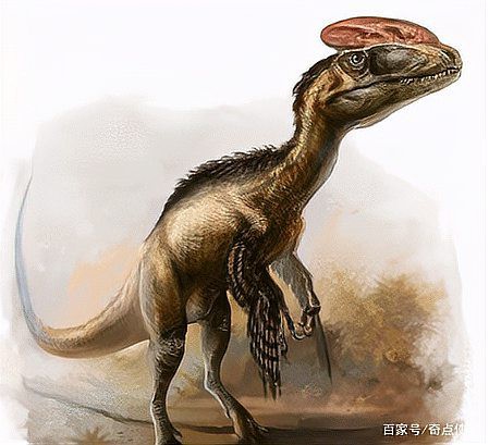 帝龍與哪些恐龍關系密切？，10種恐龍你能認完嗎(1)1)創作無止境