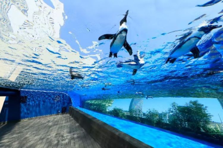 清河門水族店，阜新市清河門區金海洋水族館