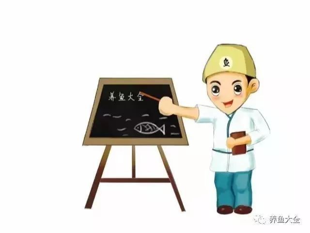 有哪些細菌是魚缸中常見的？，嗶哩嗶哩水產養殖常見的8大細菌你都用過嗎