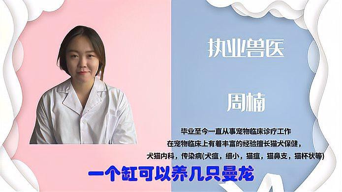 40厘米缸養幾條曼龍魚最佳？，40厘米缸養幾條曼龍魚最佳