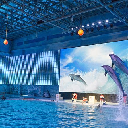 海洋公園里有什么水族館，世界上最大的十個(gè)水族館,你去過(guò)幾個(gè),非凡科普 海洋公園里有什么水族館，世界上最大的十個(gè)水族館,你去過(guò)幾個(gè),非凡科普 龍魚(yú)論壇 第17張