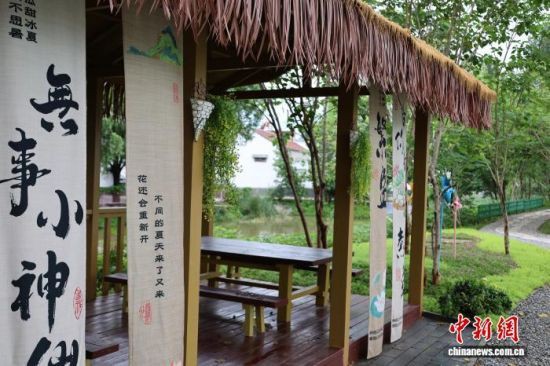 <strong><mark>章丘</mark></strong>龍魚店，濟南<strong><mark>章丘</mark></strong>龍魚市場規模有多大<strong><mark>章丘</mark></strong>龍魚養殖歷史有多大