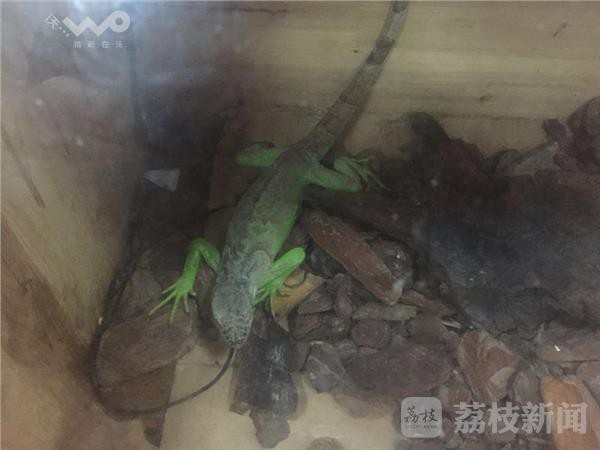 秦淮水族店，南京市秦淮區(qū)水族店