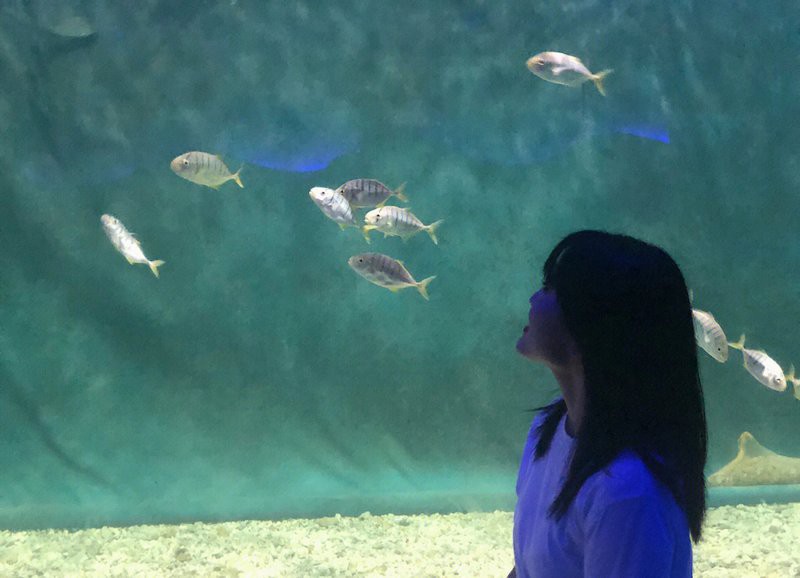 秦淮水族店，南京市秦淮區(qū)水族店