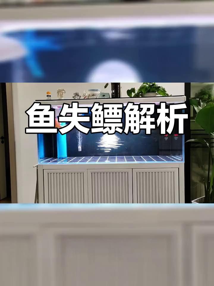 有哪些魚類容易患失鰾癥？，失鰾癥的原因、治療以及預防方法