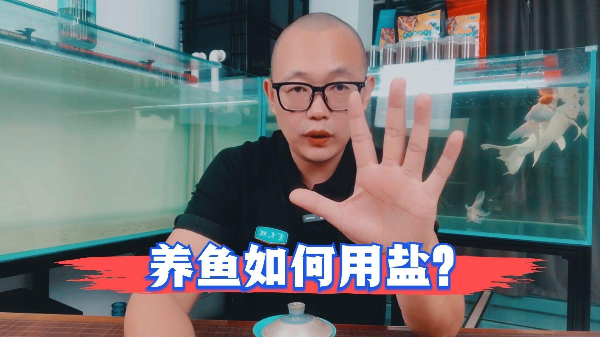 養金魚多久放一次鹽，金魚飼養中鹽的使用