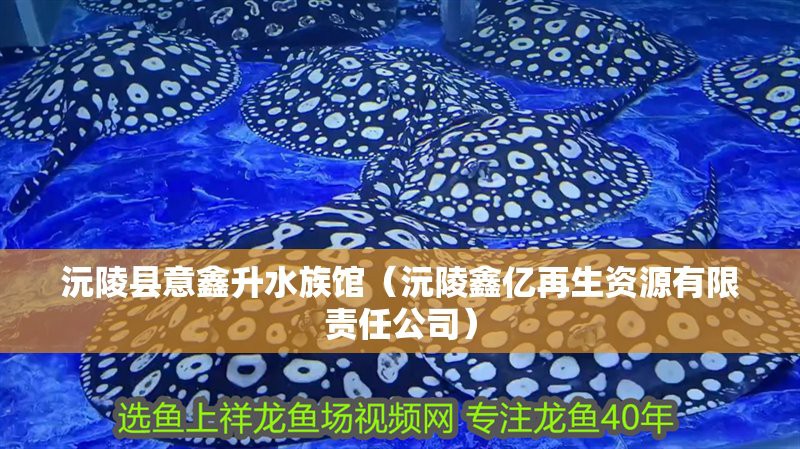 沅陵水族店，沅陵縣水族店哪家口碑最好