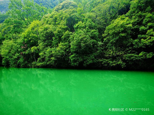 荔波水族店，荔波水族店有哪些特色產(chǎn)品