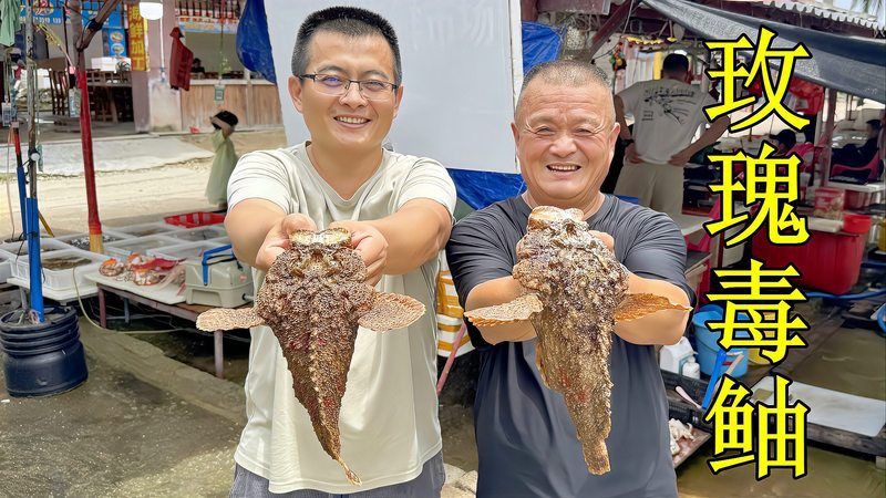 玫瑰魚為何要盡量少吃，玫瑰小魚最忌三種東西