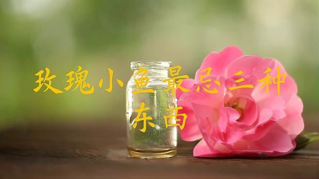 玫瑰魚為何要盡量少吃，玫瑰小魚最忌三種東西