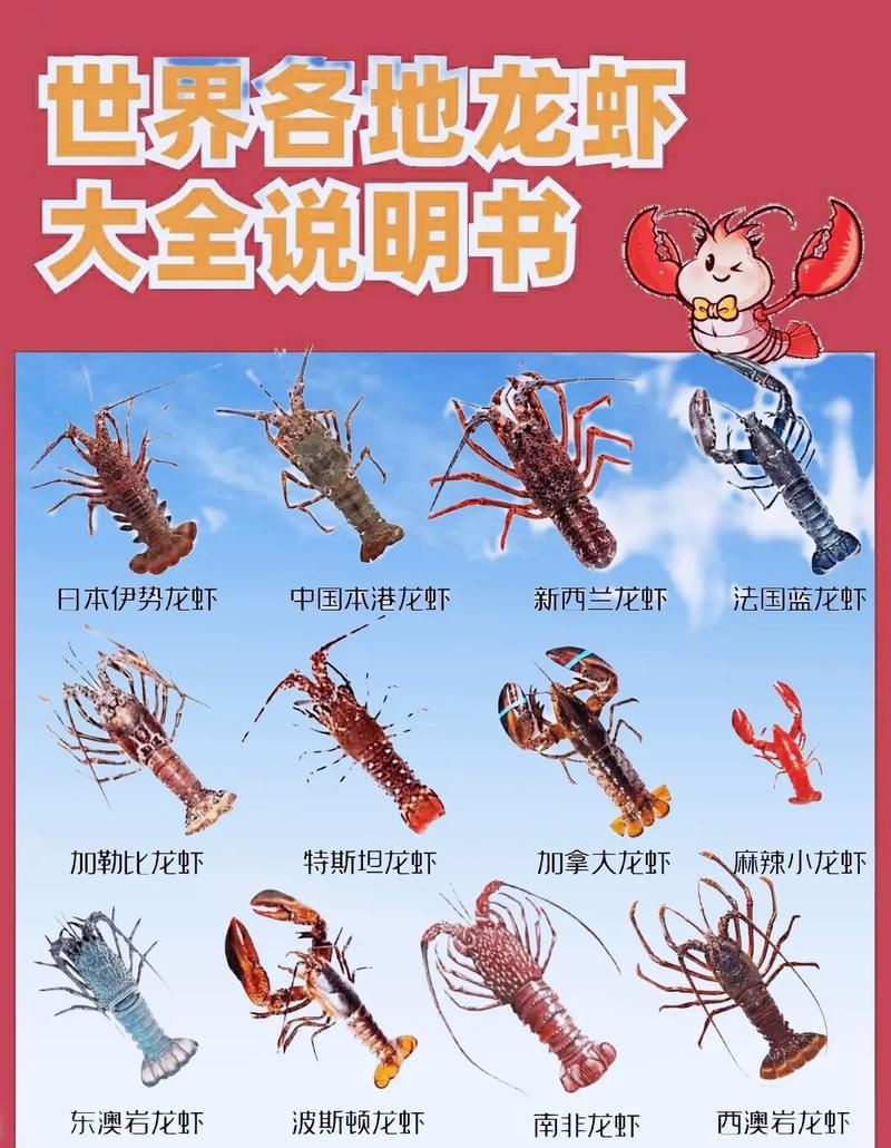 有沒有更多種類的龍蝦圖片？，全球多種大龍蝦品種介紹