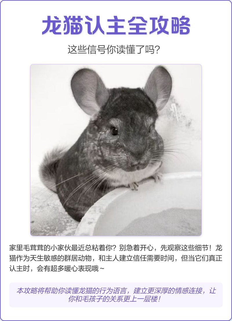 如何判斷龍貓是否認主人？，如何判斷龍貓是否認主人