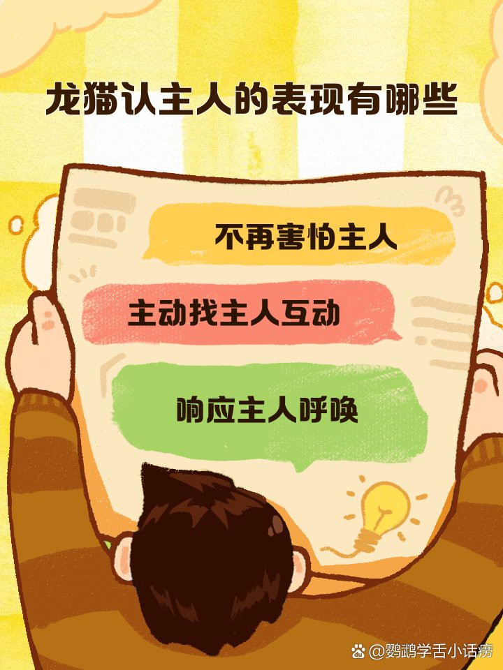 如何判斷龍貓是否認主人？，如何判斷龍貓是否認主人
