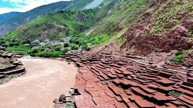 芒康水族店，芒康水族店有哪些特色產品