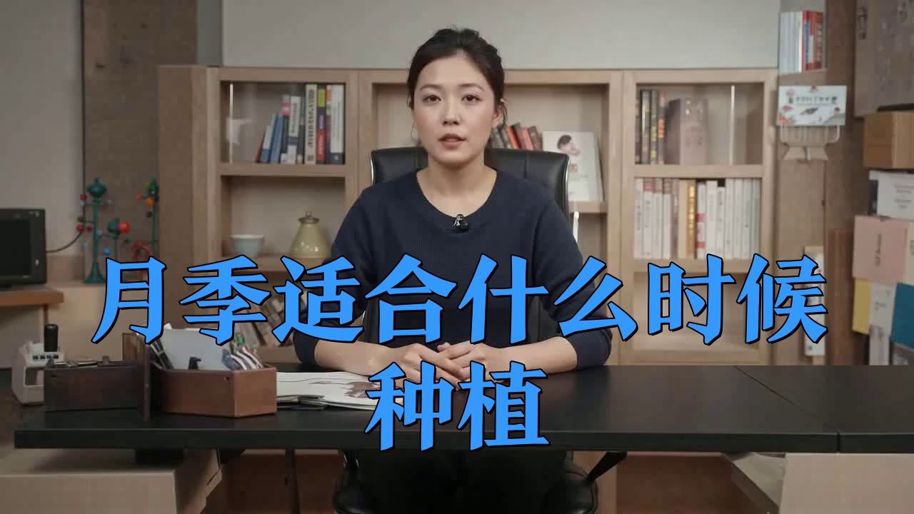 紅龍月季的最佳種植季節是什么時候？，夏天養月季，養棵“紅色龍沙寶石”吧，耐熱又抗病
