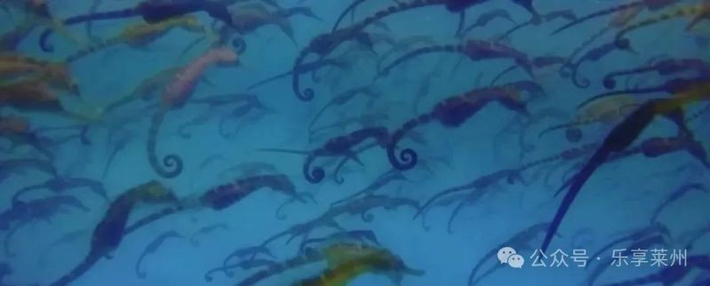 萊州龍魚店，萊州市文峰路街道藏龍閣龍魚商貿店