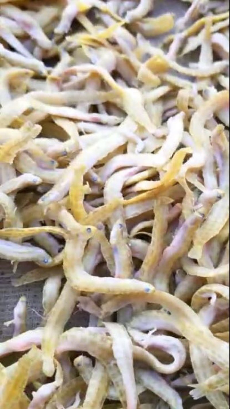 鳳魚多少錢，中國養殖網，鳳魚價格、批發報價、價格大全-阿里巴巴1688