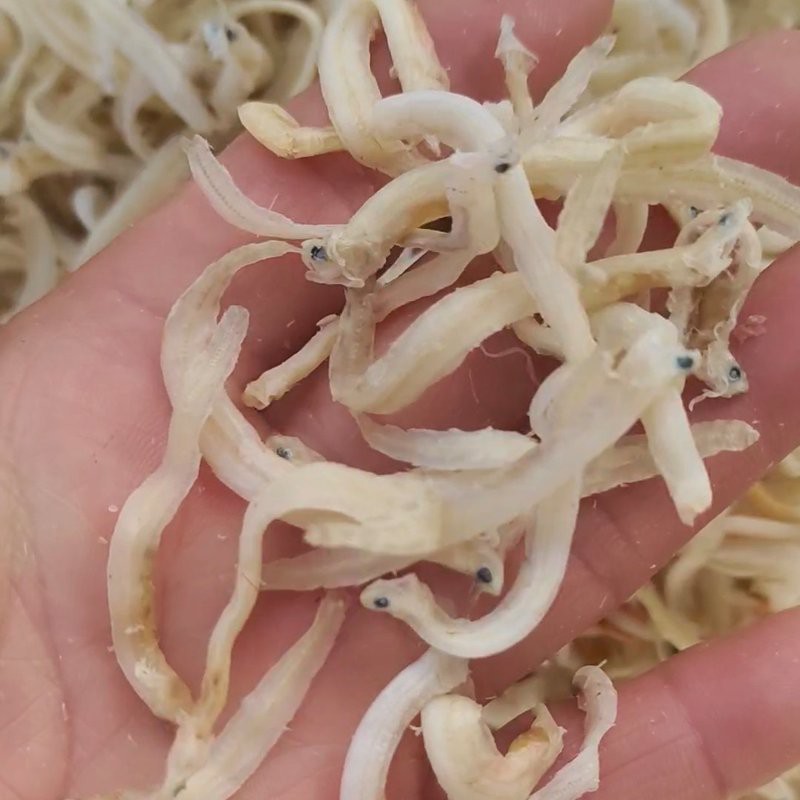 鳳魚多少錢，中國養殖網，鳳魚價格、批發報價、價格大全-阿里巴巴1688