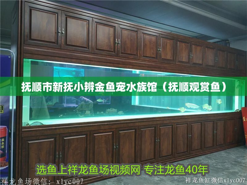 撫順縣水族店，撫順縣水族店聯系方式