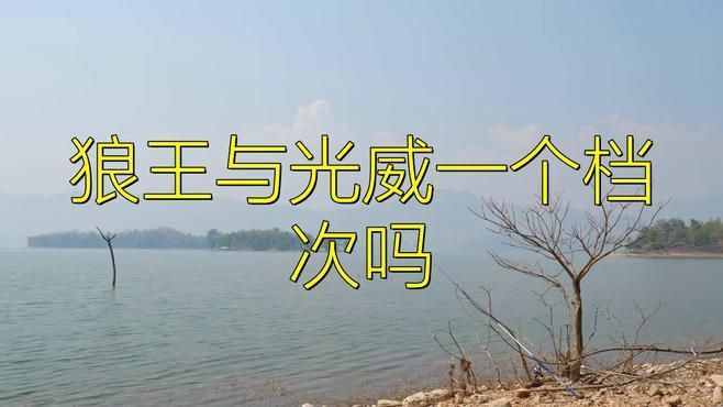 狼王與光威一個檔次嗎，狼王與光威是否處于同一檔次？