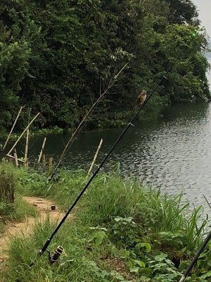 狼王與光威一個檔次嗎，狼王與光威是否處于同一檔次？