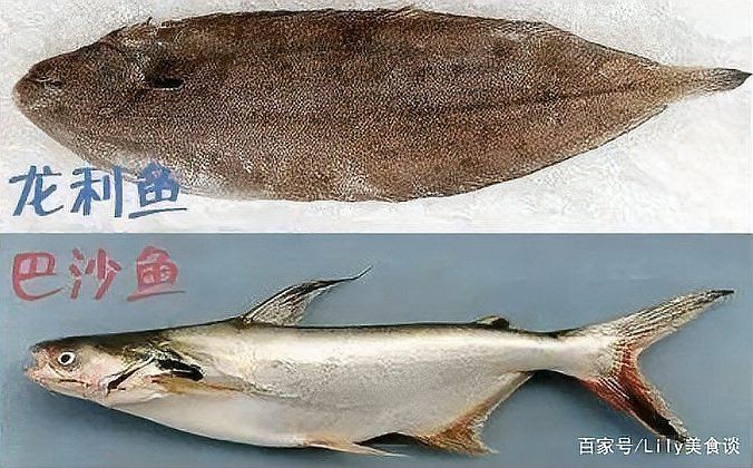 如何挑選新鮮的龍利魚？，如何挑選新鮮的龍利魚?