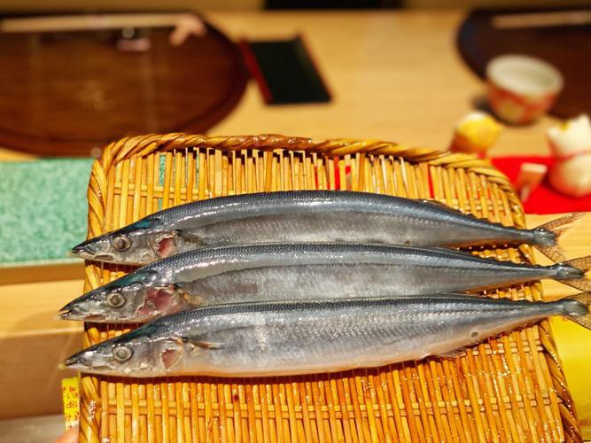 刀魚品種大全大圖，刀魚是什么魚