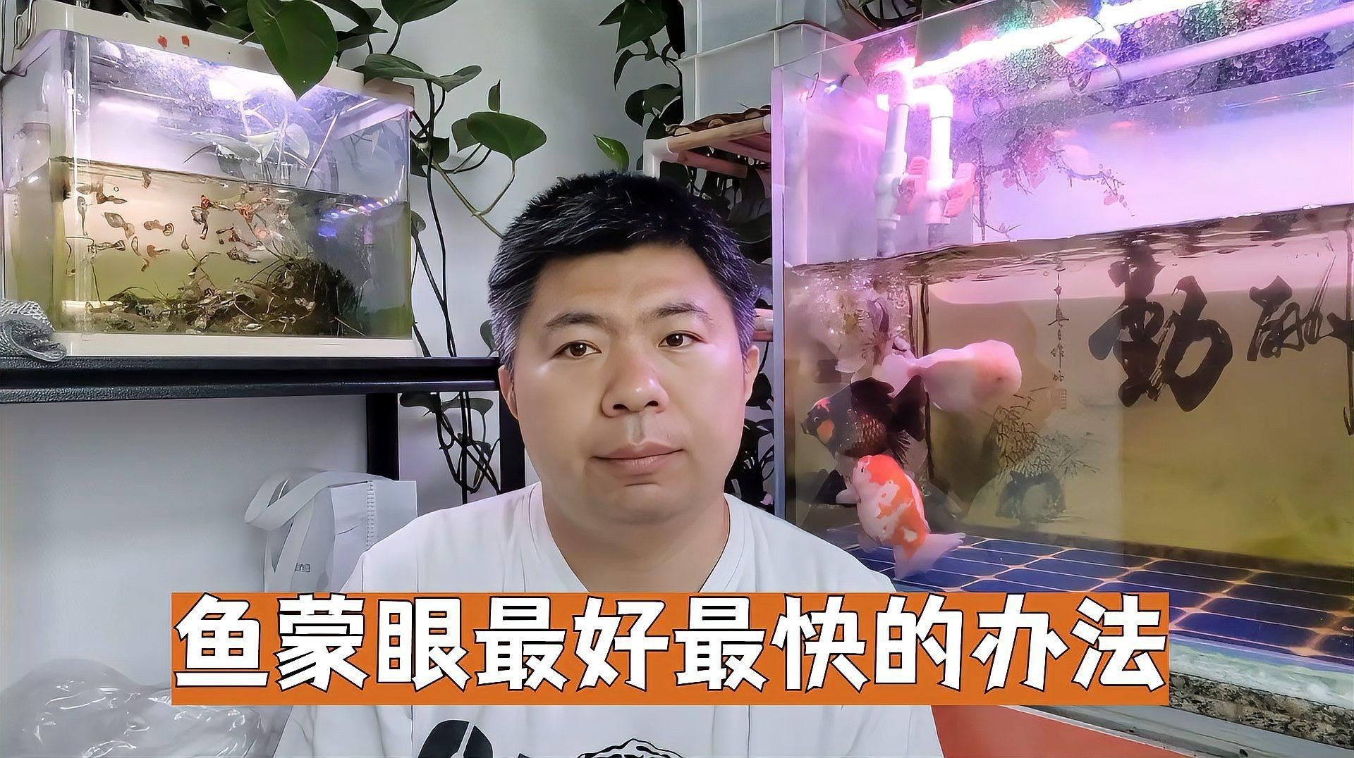如何預防觀賞魚蒙眼病,如何預防觀賞魚蒙眼病,如何避免和治療方案 龍魚百科 第6張 如何預防觀賞魚蒙眼病,如何預防觀賞魚蒙眼病,如何避免和治療方案 如何預防觀賞魚蒙眼病,如何預防觀賞魚蒙眼病,如何避免和治療方案 龍魚百科 第6張
