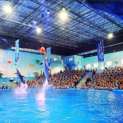 沙市水族店，沙市水族館的開放時間是如何 沙市水族店，沙市水族館的開放時間是如何 全國水族館企業名錄 第9張
