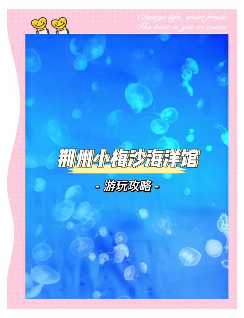 沙市水族店，沙市水族館的開放時間是如何 沙市水族店，沙市水族館的開放時間是如何 全國水族館企業名錄 第3張