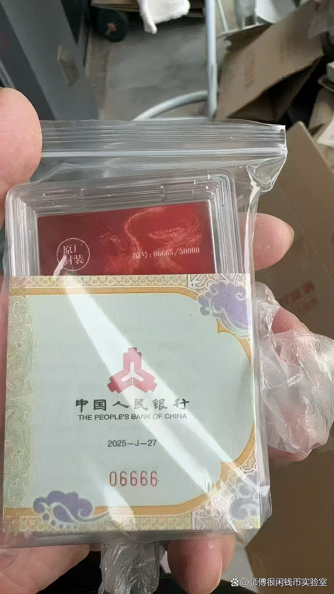 號半金龍的市場價格是多少？，“號半金龍”名稱在搜索結果中未明確提及，可能與龍年金銀紀念幣存在關聯(lián)
