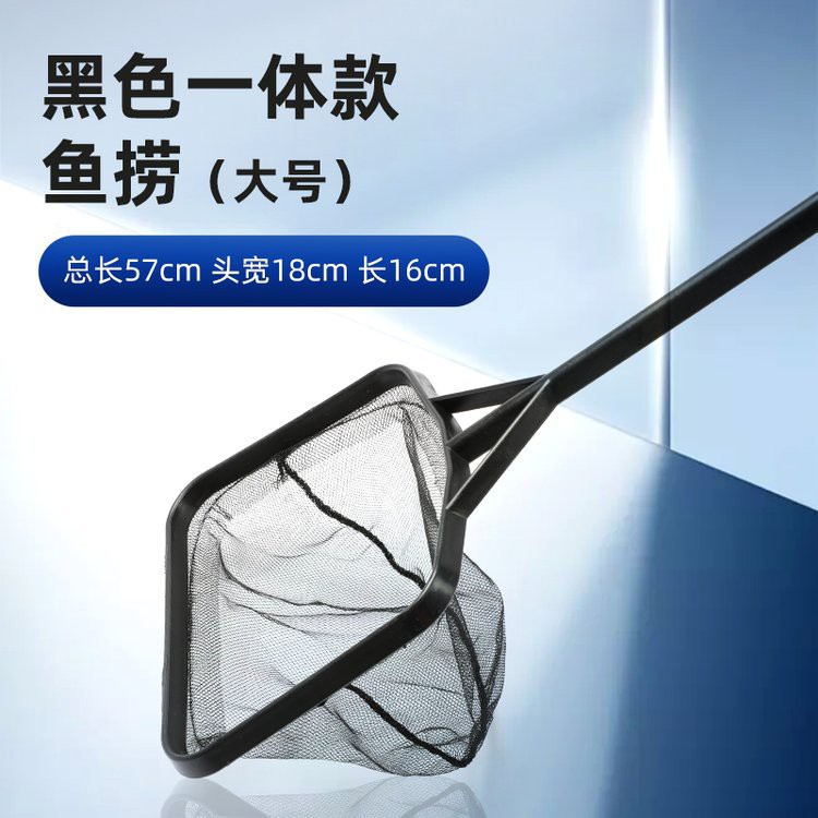 40公分銀龍魚價格多少錢一條，40公分銀龍魚的價格
