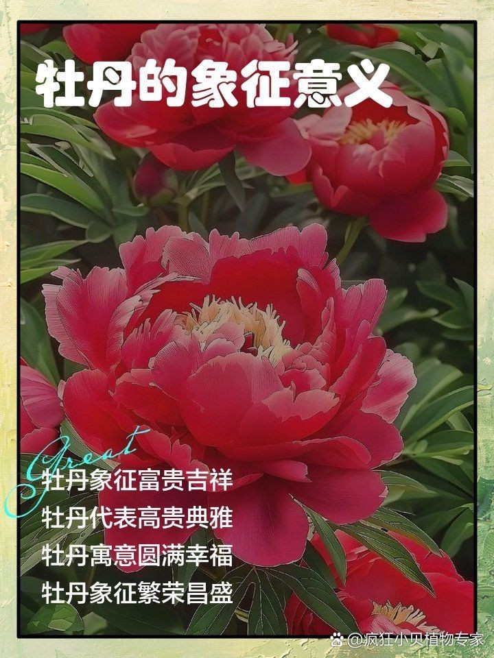 牡丹和鯉魚的象征意義，牡丹與鯉魚的象征意義