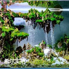 白玉水族店，昆明白玉水族店