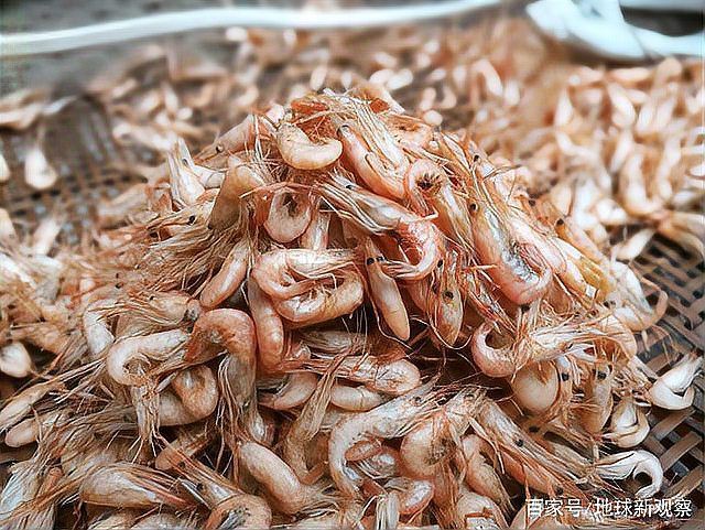 中國八大漁場排名，中國最著名的四大漁場,看看你知道幾個?