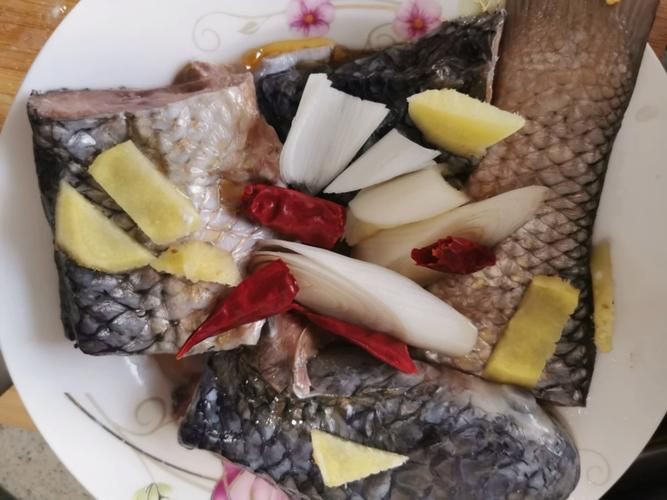 爛肉梭魚圖片，廣東沿海對海鰱展開