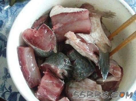 爛肉梭魚圖片，廣東沿海對海鰱展開