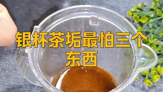 如何清潔和保養九龍銀杯？，《如何清潔和保養九龍銀杯》